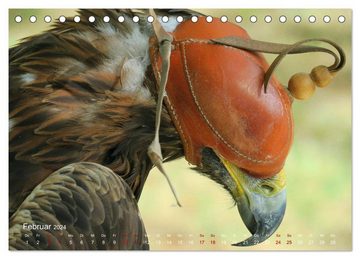 CALVENDO Wandkalender Jagdvögel (Tischkalender 2024 DIN A5 quer), CALVENDO Monatskalender