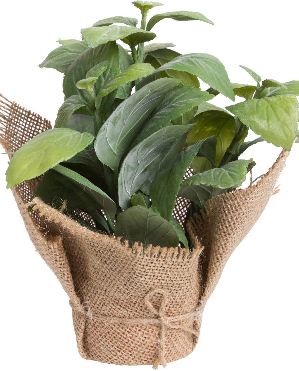 Künstliche Zimmerpflanze Kräuter Kräuter, Botanic-Haus, Höhe 20 cm