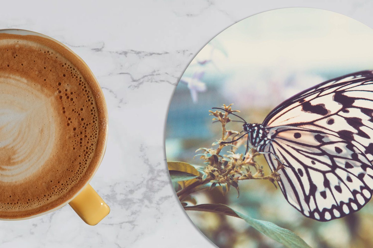 MuchoWow Glasuntersetzer Schmetterling - Blumen - für Getränkeuntersetzer, Tasse, Korkuntersetzer, Becher Zubehör Tassenuntersetzer, Gläser, 6-tlg., Frühling