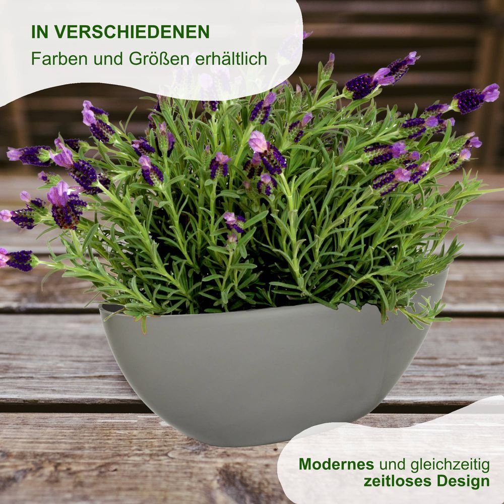 Heimwerkercenter Übertopf MePla 2 Stück Schale OVAL - wetterfestes PflanzgefäßL 21cm - grau