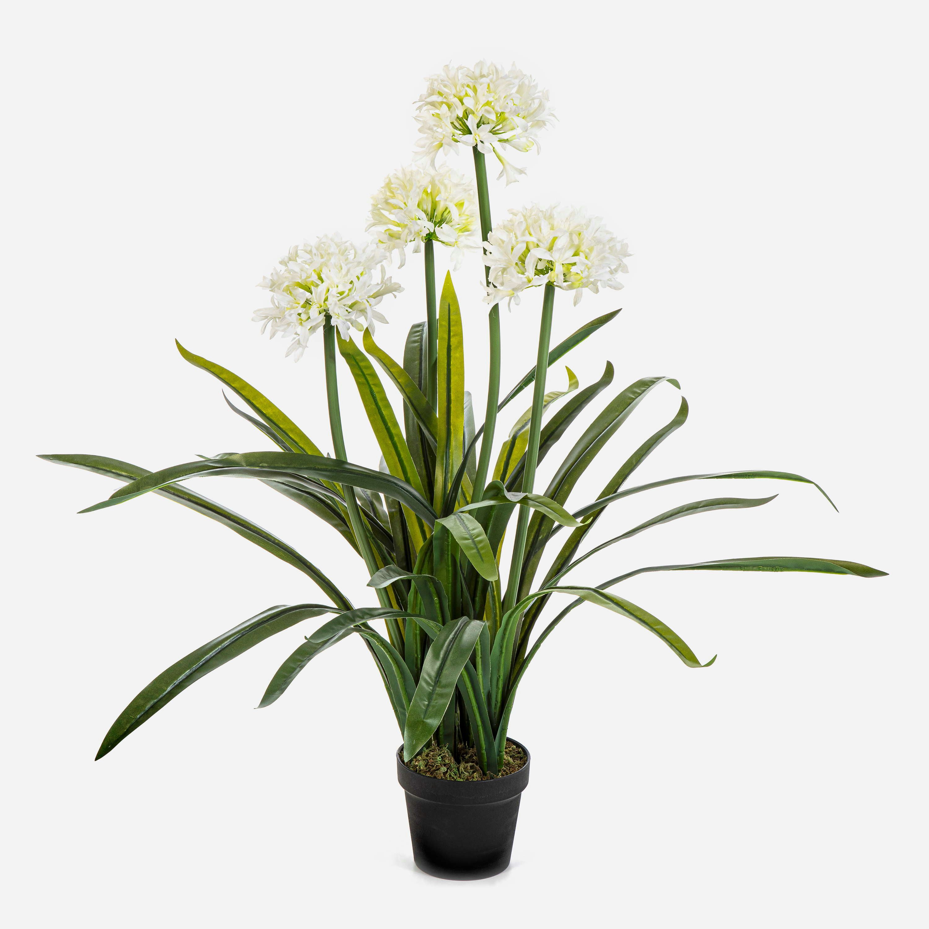 Kunstblume Kunstpflanze Pflanze Agapanthus LESEDA im Dekotopf, weiß, 105cm Agapanthus, artplants, Höhe 105.0 cm