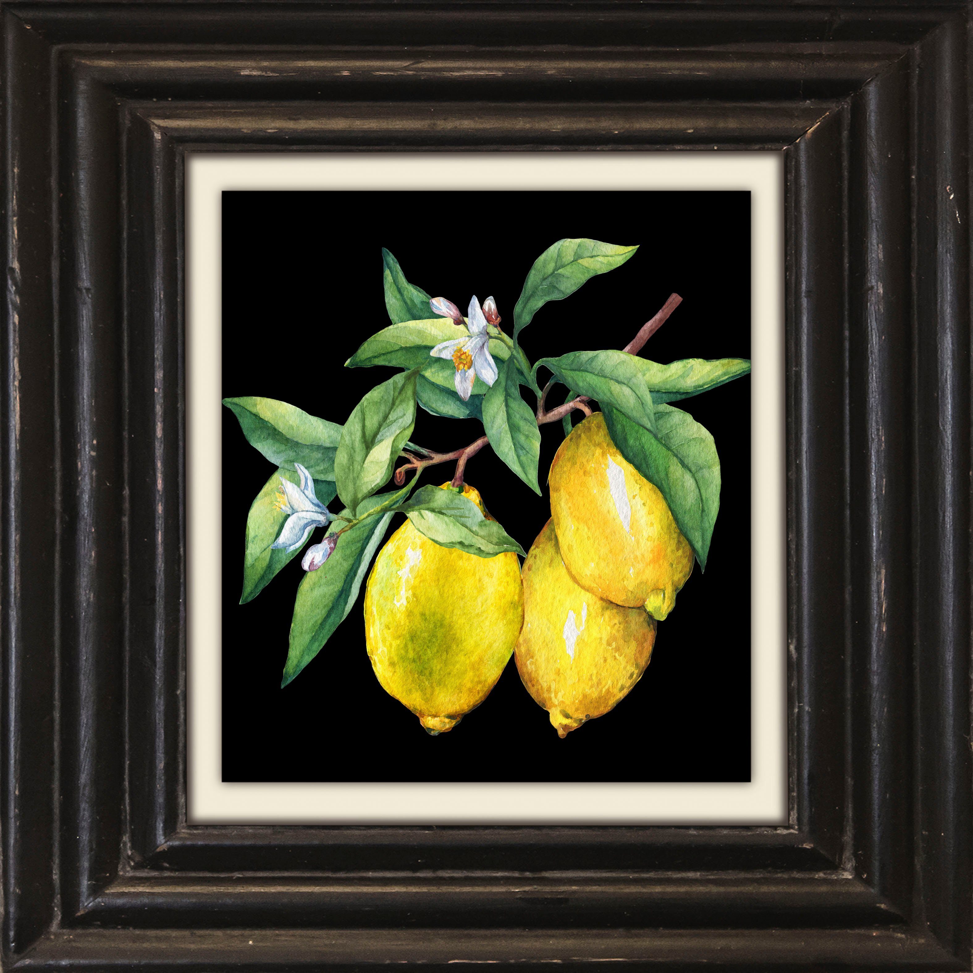 queence Leinwandbild Zitronen, Kunst, Obst, Obst Bilder, Stillleben, Premium-Leinwandstoff, Handarbeit aus Deutschland, 40x40cm