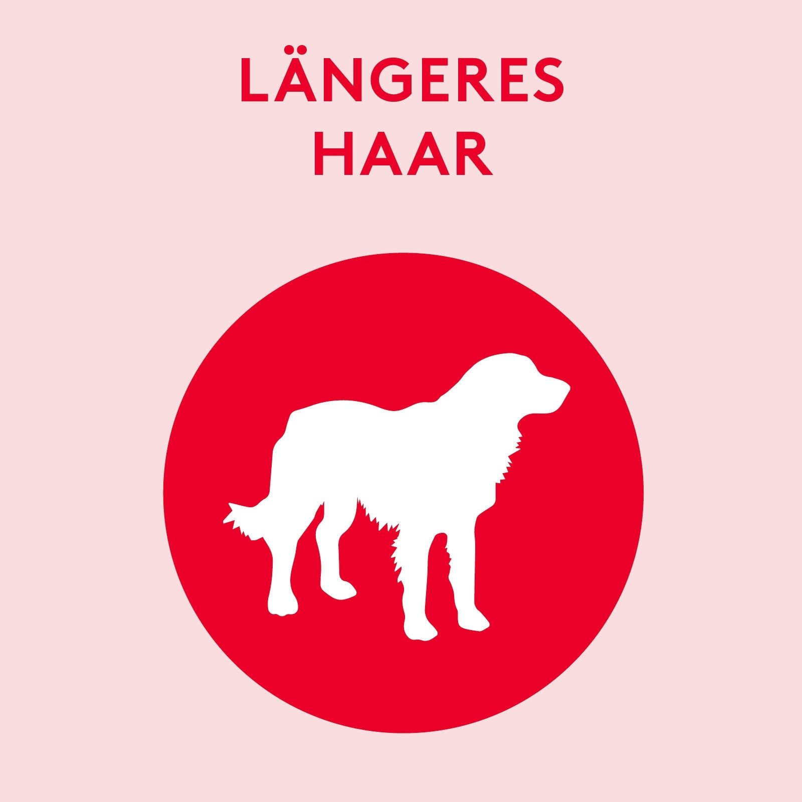 Tierfee Tiershampoo Ökologisches Hunde-Shampoo für längeres Haar 250 ml, 250 ml, ökologisch, vegan