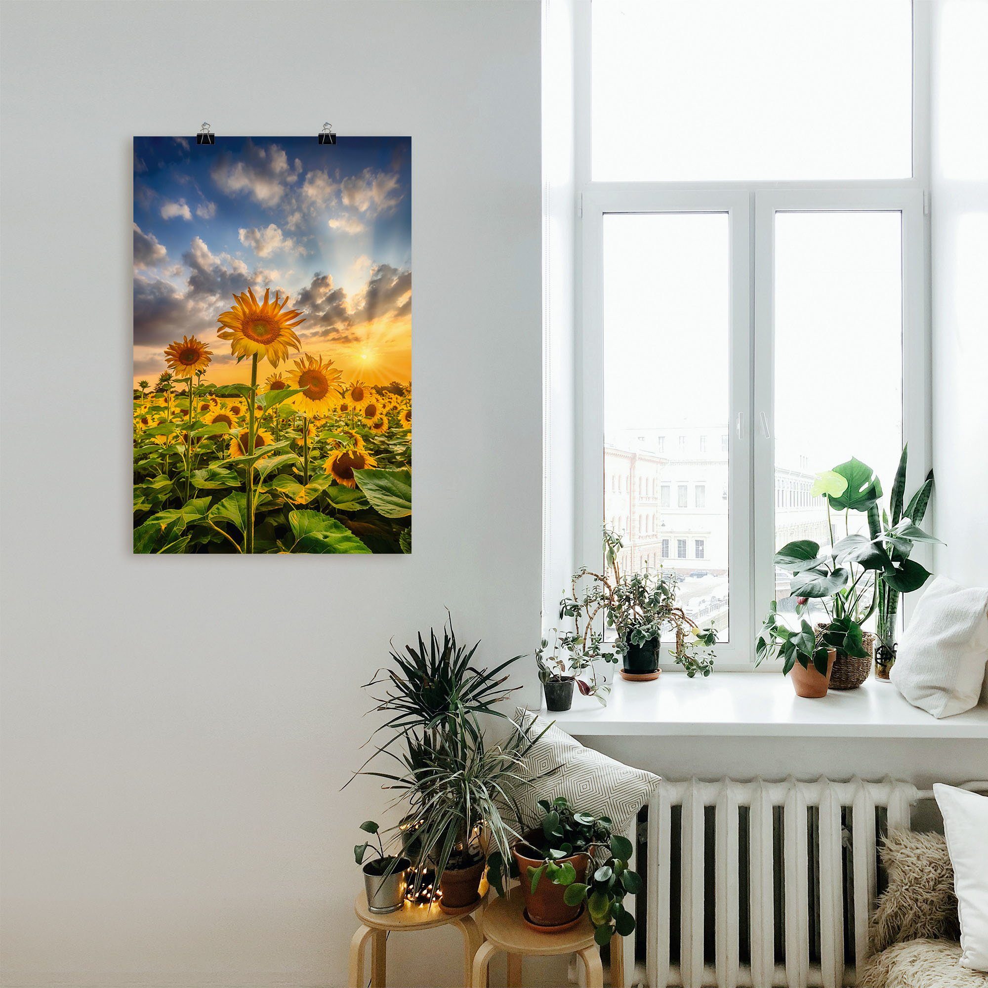 in Alubild, im Größen Sonnenuntergang, St), Wandaufkleber versch. (1 oder Artland als Sonnenblumen Blumenbilder Wandbild Poster Leinwandbild,