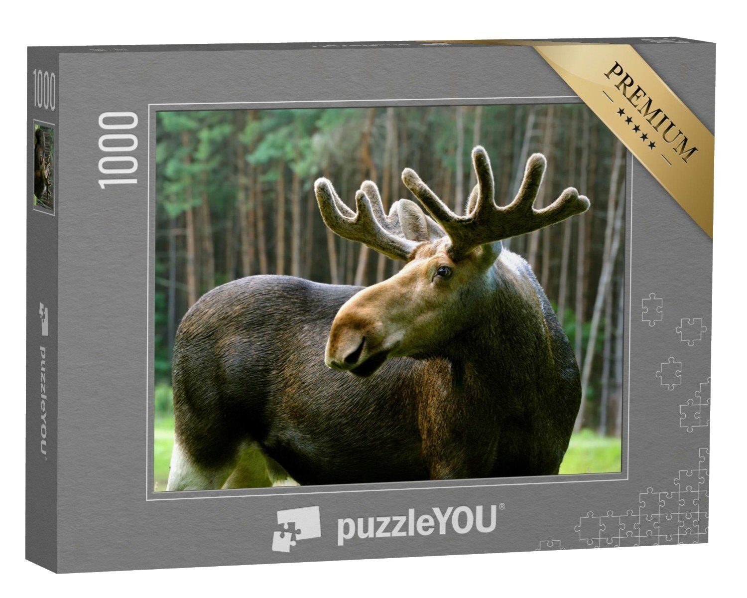 puzzleYOU Puzzle Elch in seinem natürlichen Lebensraum, 1000 Puzzleteile, puzzleYOU-Kollektionen Elche, Tiere in Wald & Gebirge