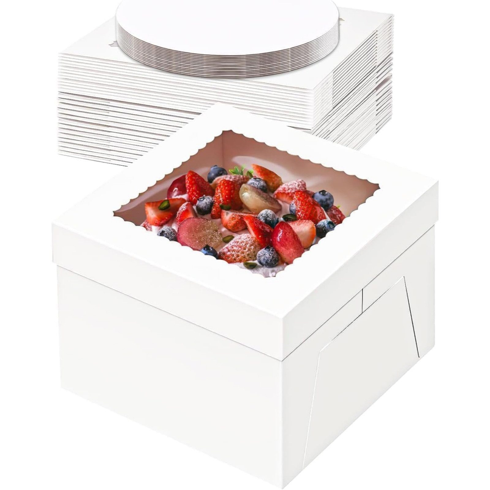 Bundviel Kuchentransportbox Kuchenbox, Packung mit 5, Kuchenbox-Set