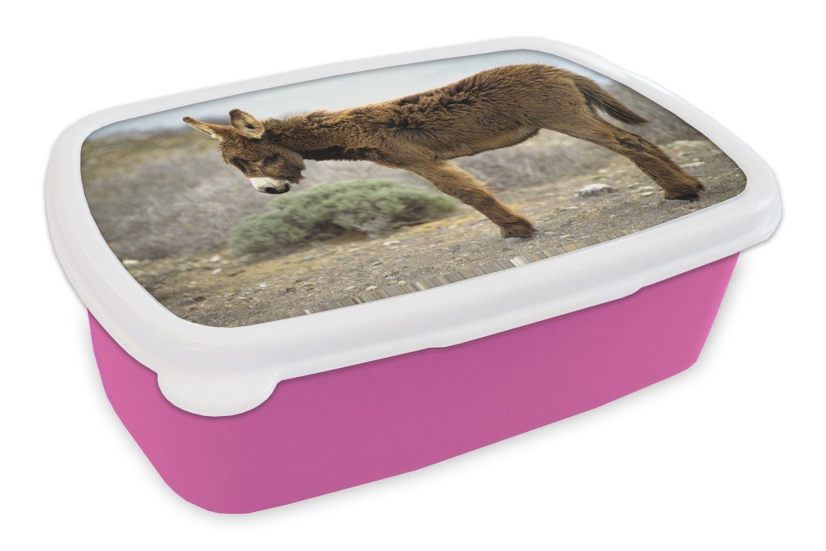 karger Einsamer Kunststoff, MuchoWow (2-tlg), Erwachsene, Lunchbox Mädchen, in Kunststoff Brotbox Kinder, Brotdose Landschaft, Esel Snackbox, rosa für