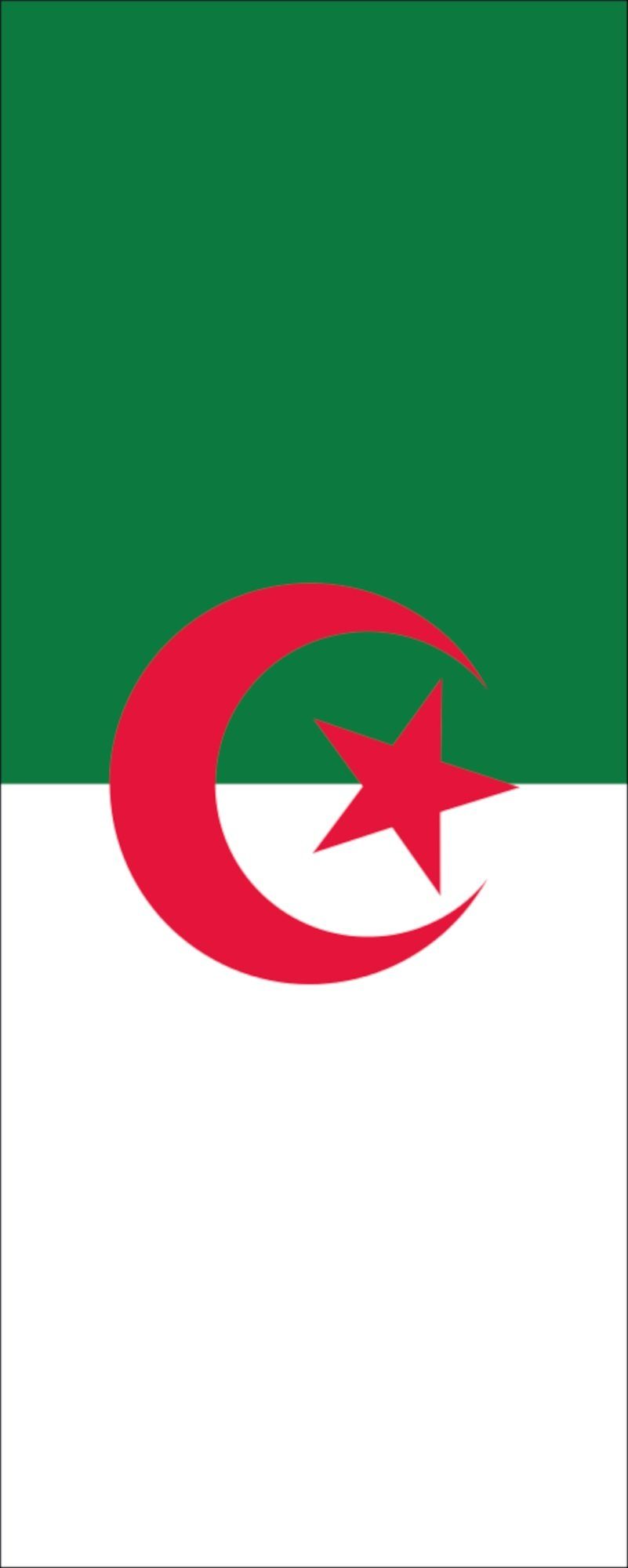 Algerien Flagge 110 Hochformat Flagge flaggenmeer g/m²