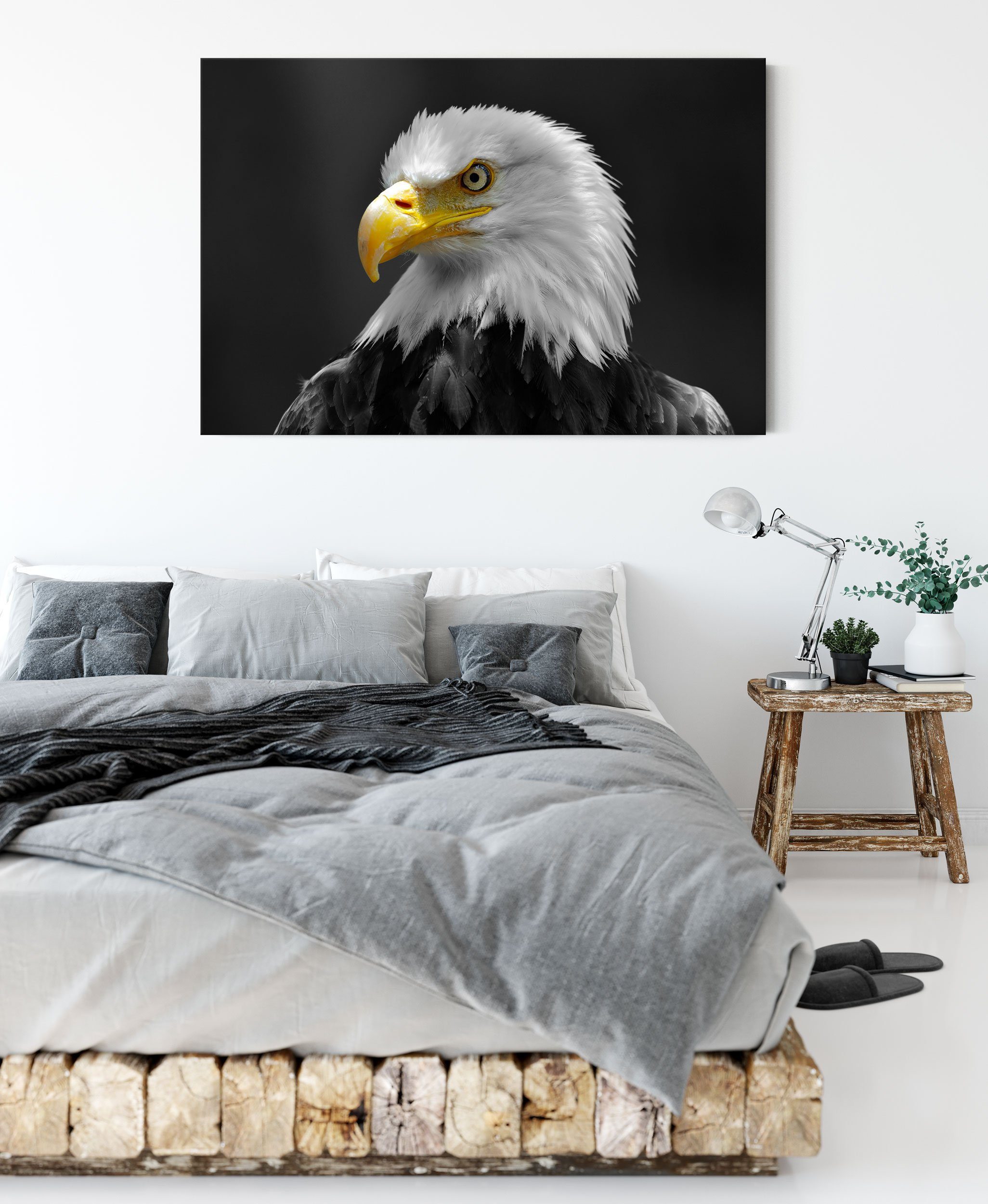 Pixxprint Leinwandbild eindrucksvoller Weißkopfseeadler, bespannt, (1 inkl. eindrucksvoller Zackenaufhänger Leinwandbild St), Weißkopfseeadler fertig