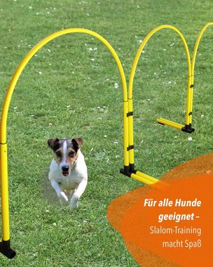 Superhund Agility-Slalom Hoopers Slalom in Orange mit Bogen in Farbe Blau, Kunststoff