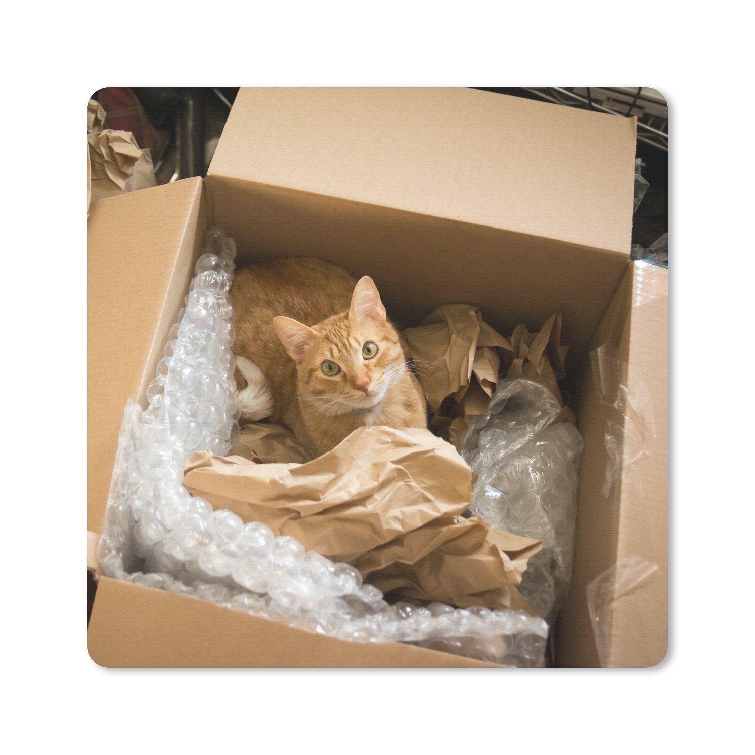 MuchoWow Mauspad Katze - Box - Rot (1-St), Mauspad, Büro Zubehör, Dekoration, Desk Mat, 30x30 cm