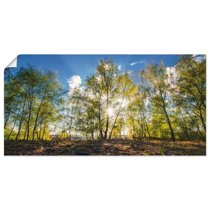 Artland Wandbild Frühlingssonne Wald (1 St) als Alubild Leinwandbild Wandaufkleber oder Poster in versch. Größen