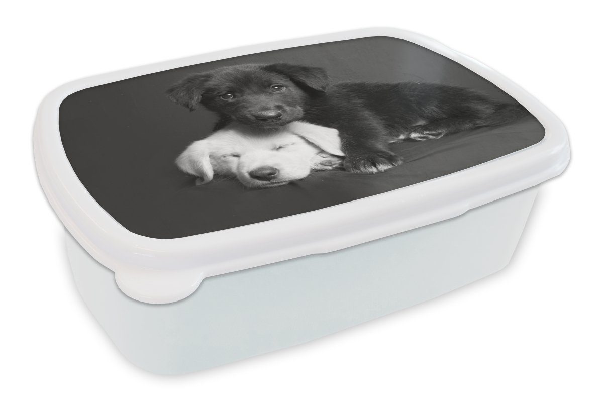 MuchoWow Lunchbox Hunde - Welpe - Schwarz - Weiß - Tiere, Kunststoff, (2-tlg), Brotbox für Kinder und Erwachsene, Brotdose, für Jungs und Mädchen