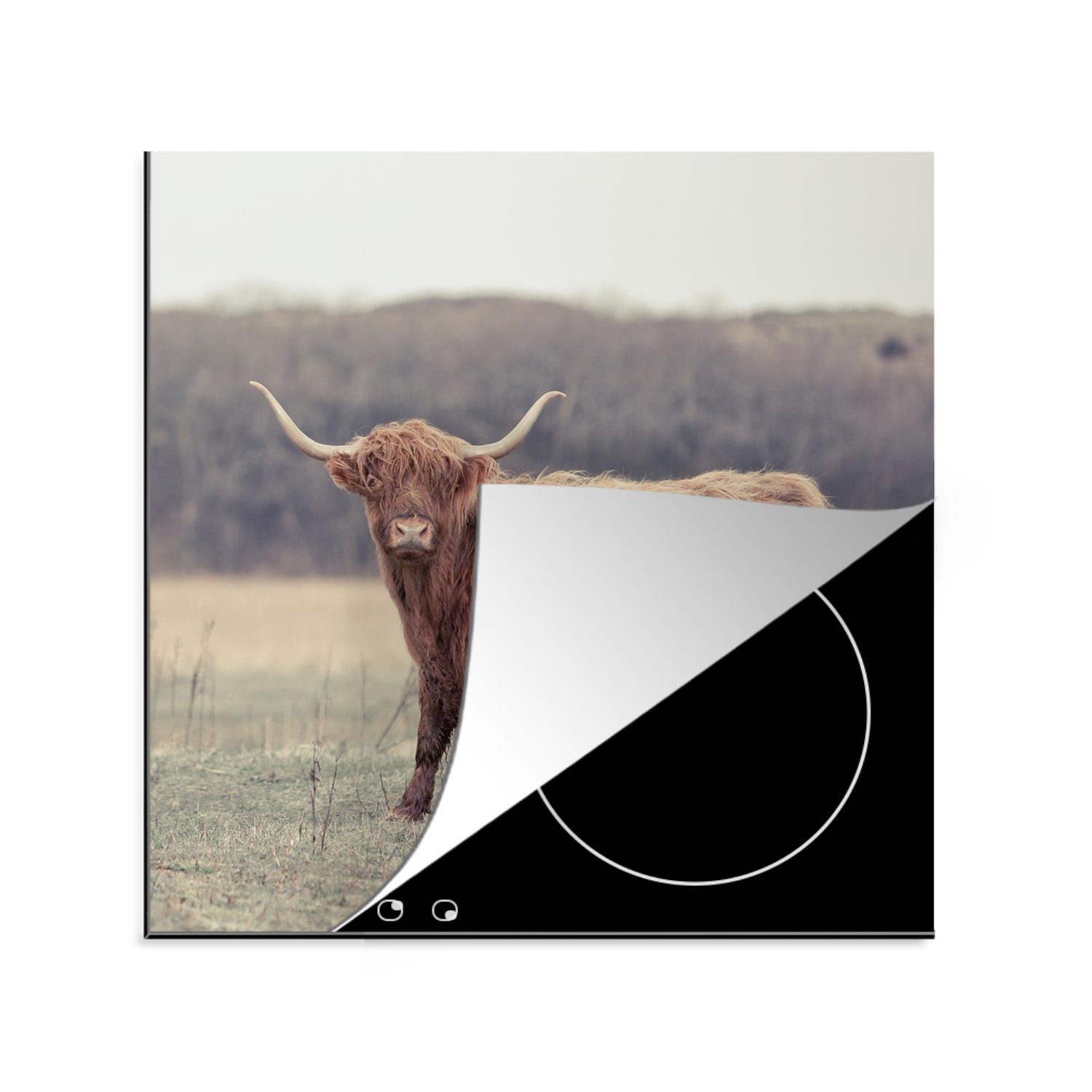 MuchoWow Herdblende-/Abdeckplatte Schottische Highlander - Gras - Bergkuppen, Vinyl, (1 tlg), 78x78 cm, Ceranfeldabdeckung, Arbeitsplatte für küche