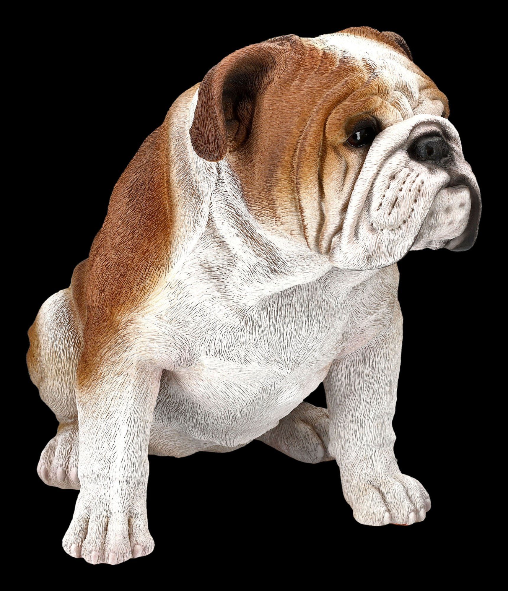 Figuren Shop GmbH Figur Tierdeko Dekofigur Hunde - Tierfigur Bulldoggen Dekoration sitzend