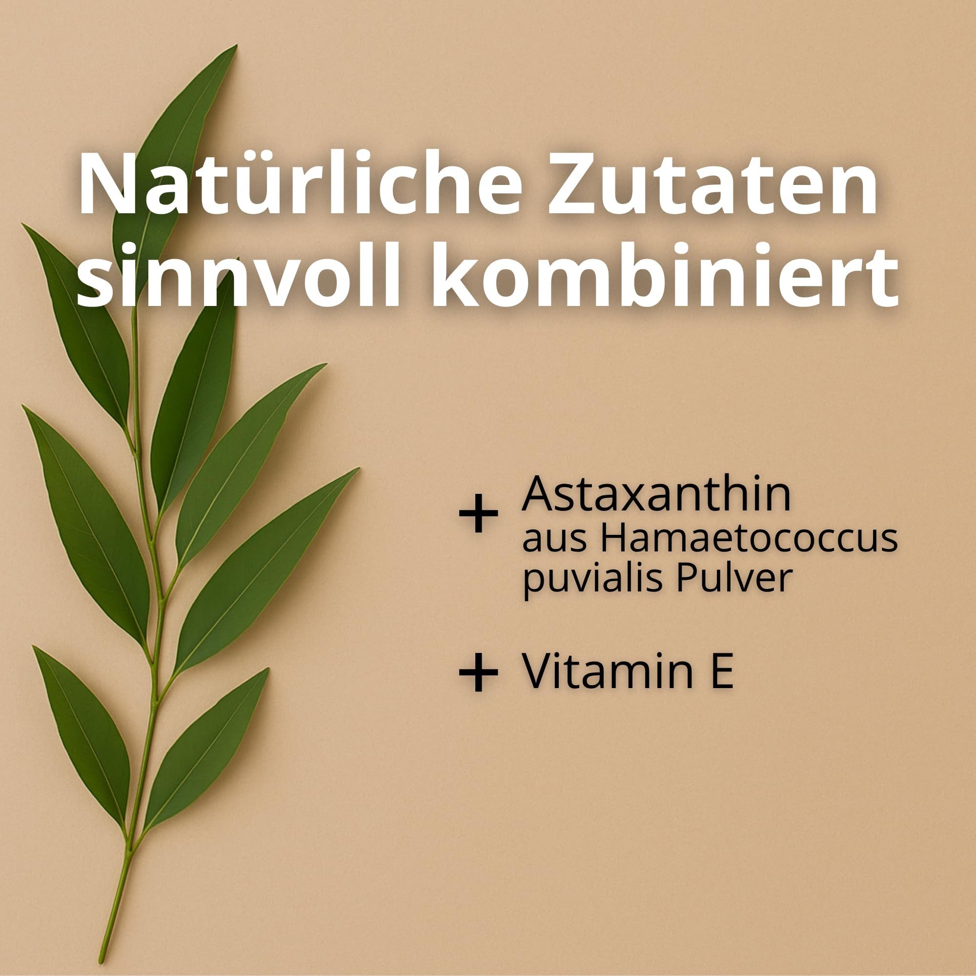 Naturklar Astaxanthin 12 mg Kapseln - 2 Fach Kombi Kapseln, Hochdosiertes Astaxanthin & Vitamin E für 4 Monate Reichweite - Vegan à 60 St., 30 g