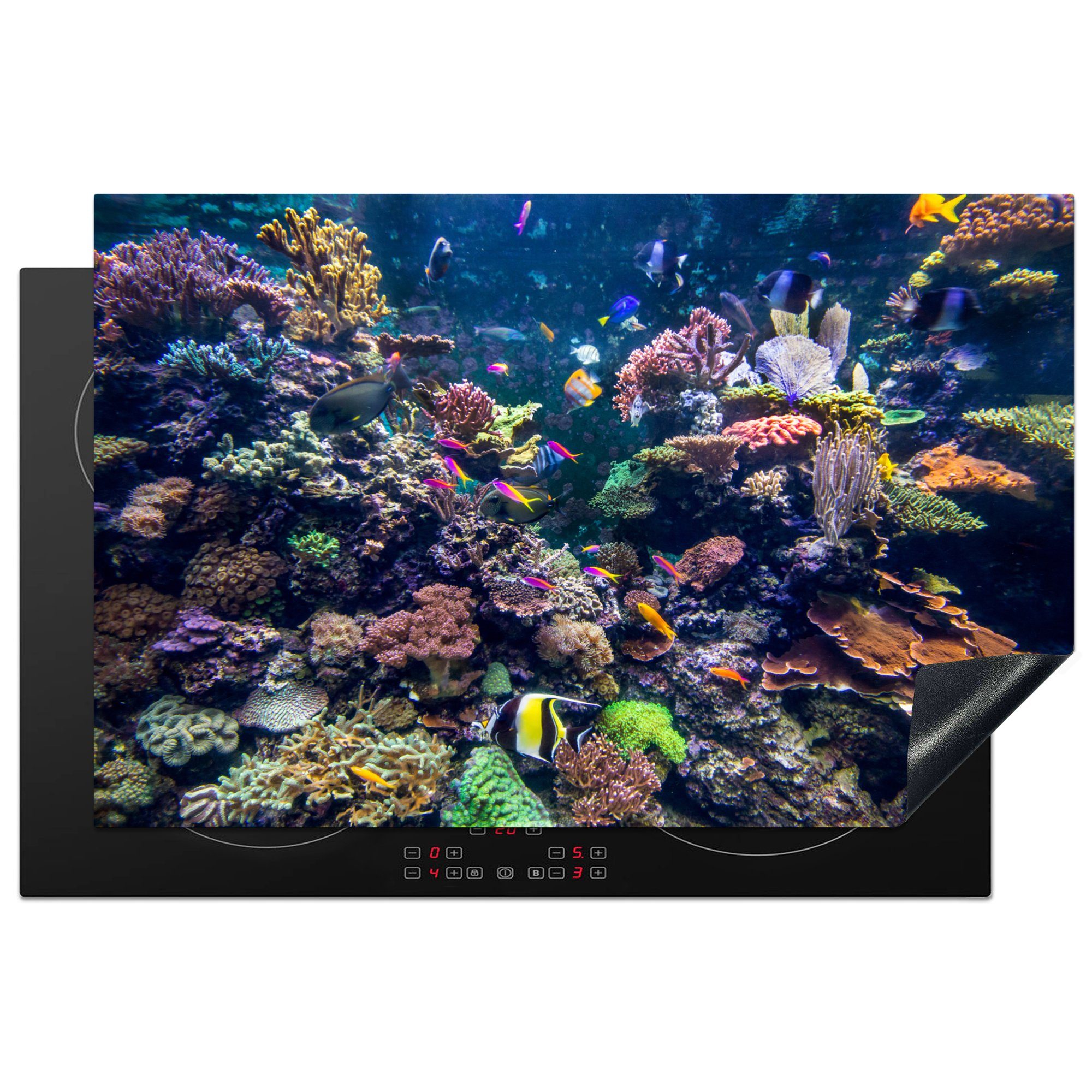 MuchoWow Herdblende-/Abdeckplatte Bunte Korallen in klarem Wasser, Vinyl, (1 tlg), 81x52 cm, Induktionskochfeld Schutz für die küche, Ceranfeldabdeckung