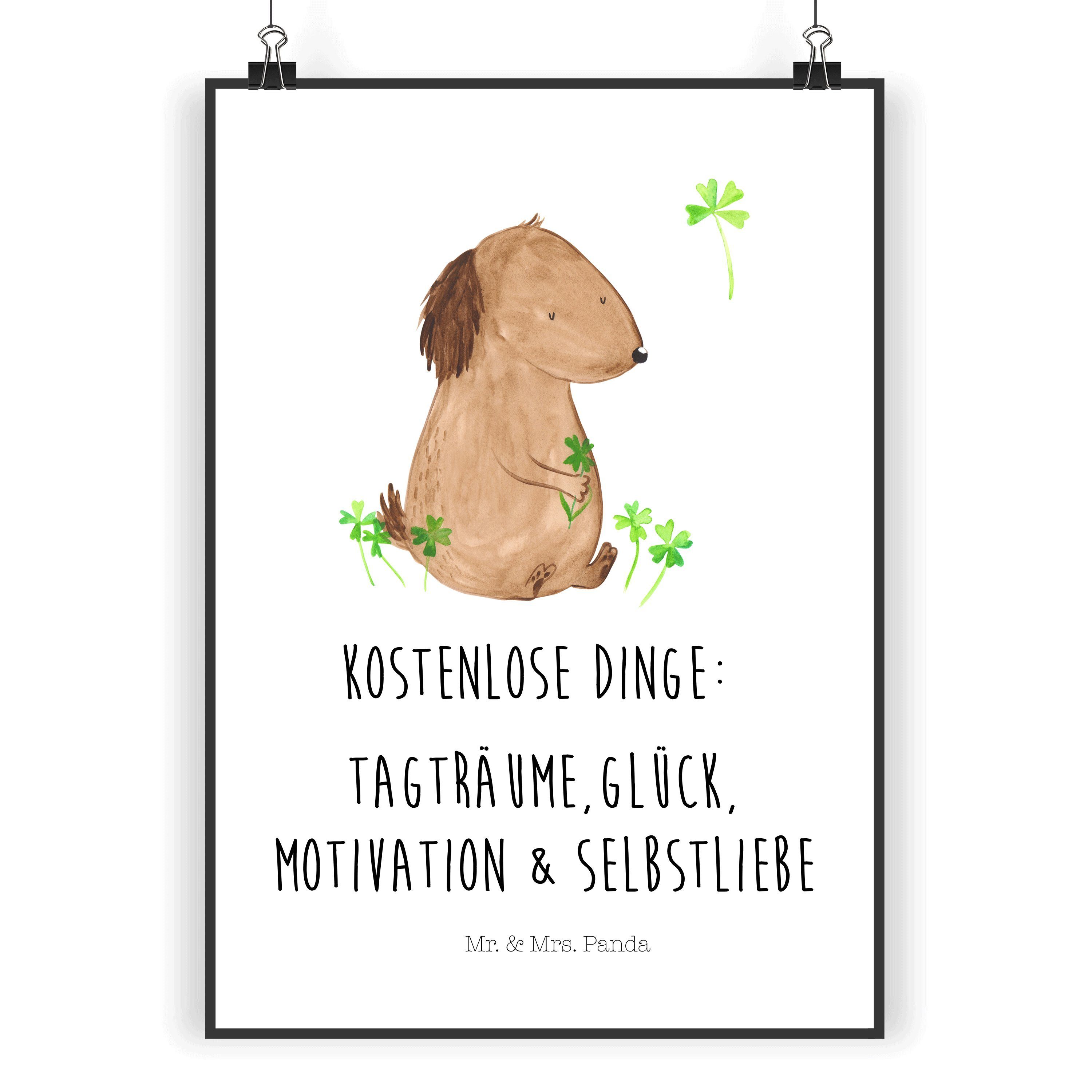 Poster DIN A4 Hund Kleeblatt - Weiß - Geschenk, Hunderasse, Tagträume, Poste