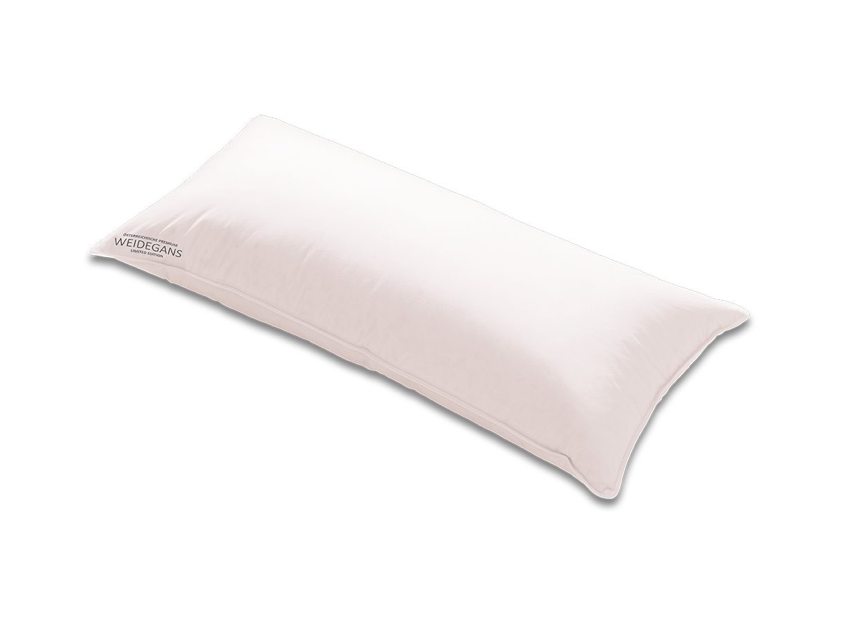 Kauffmann Gänsedaunenkopfkissen 3 Kammerkissen "Weidegans Limited Edition", günstig online kaufen