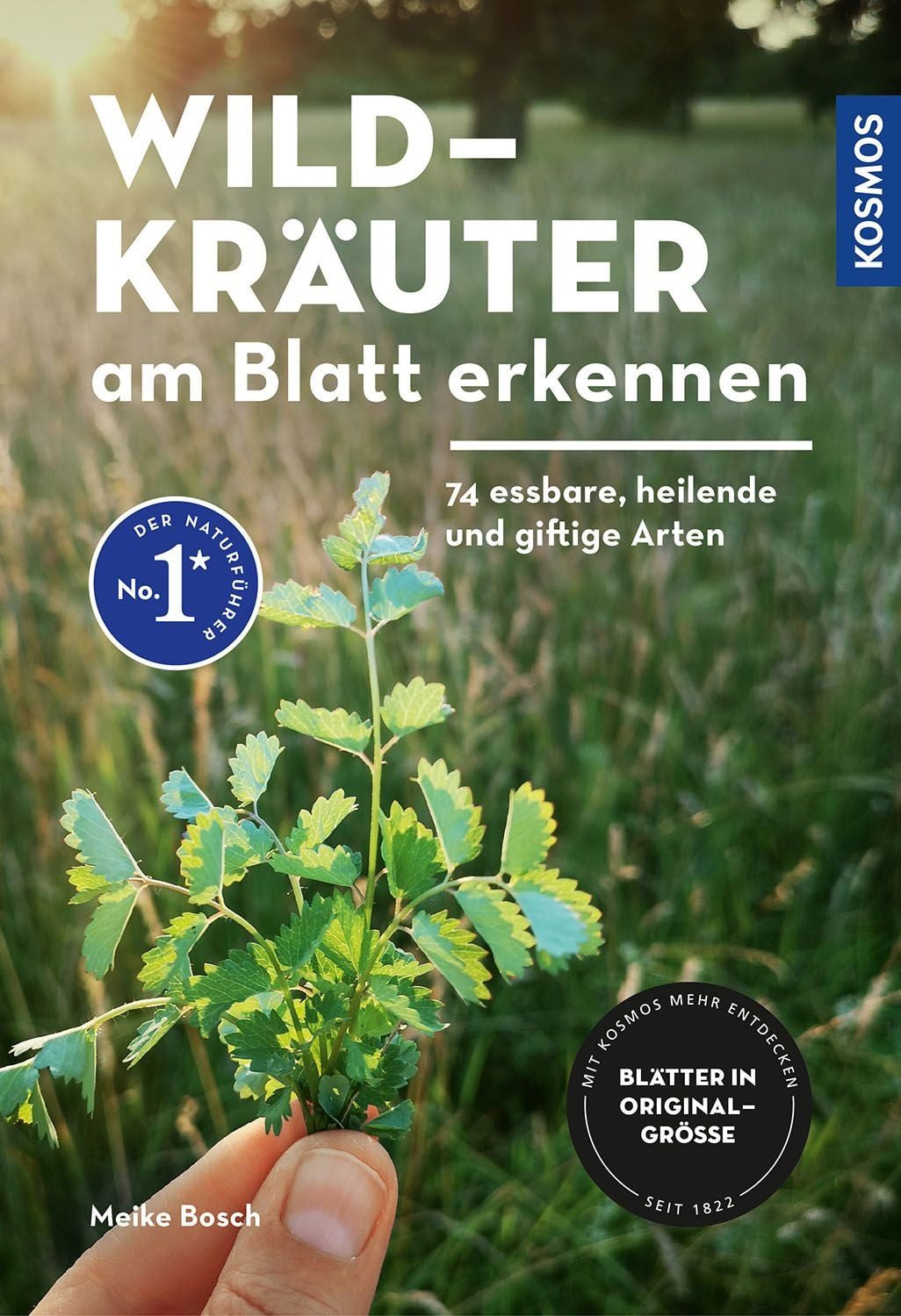 Wildkräuter am Blatt erkennen 74 essbare, heilende und giftige Arten - / Meike Bosch, 74 essbare, heilende und giftige Arten - Blätter in Originalgröße abgebildet
