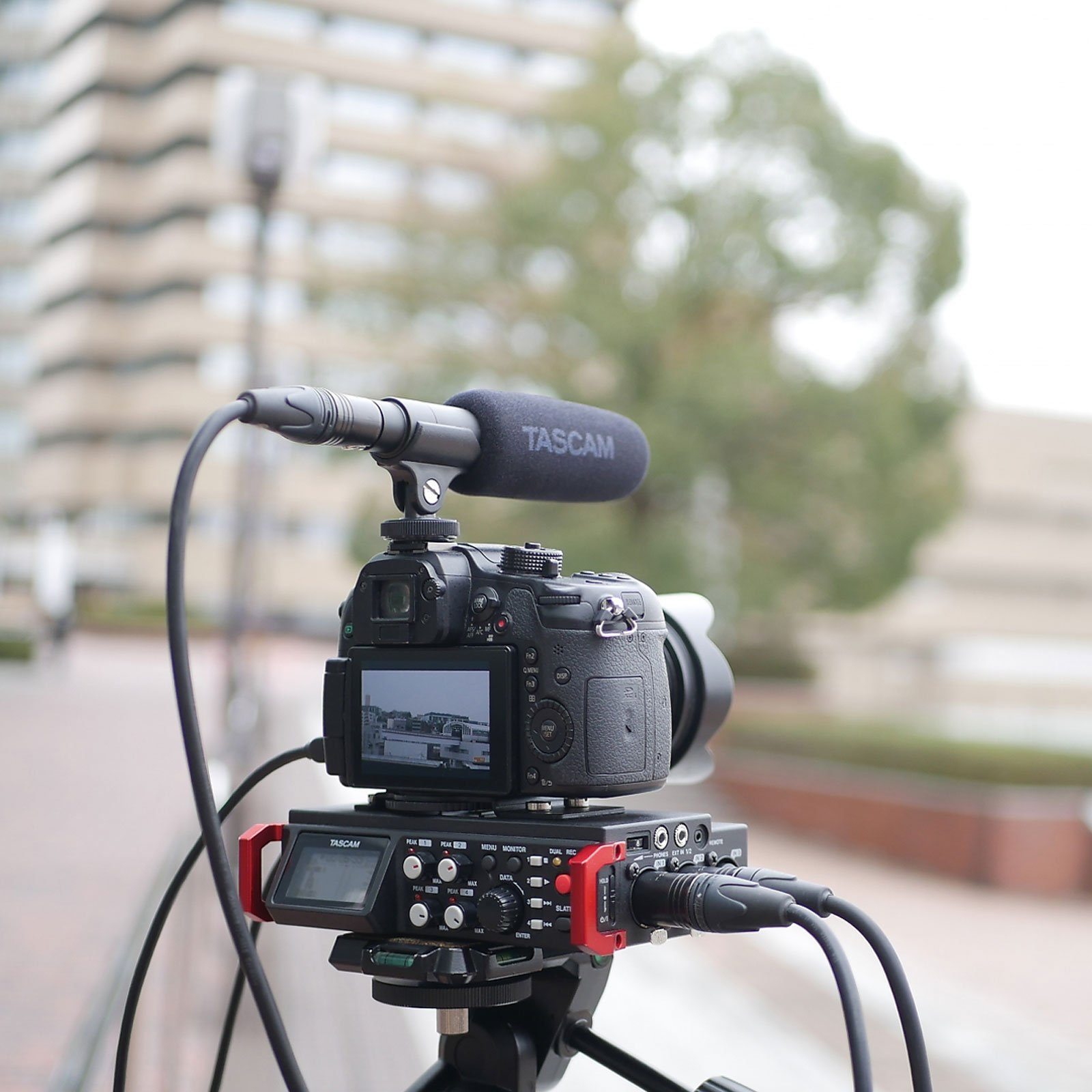 Tascam Richtmikrofon TM-200SG, Shotgun-Kondensatormikrofon für Videoaufnahmen