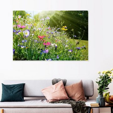Posterlounge Poster Lichtspielart, Auf einer sonnigen Wildblumenwiese, Fotografie