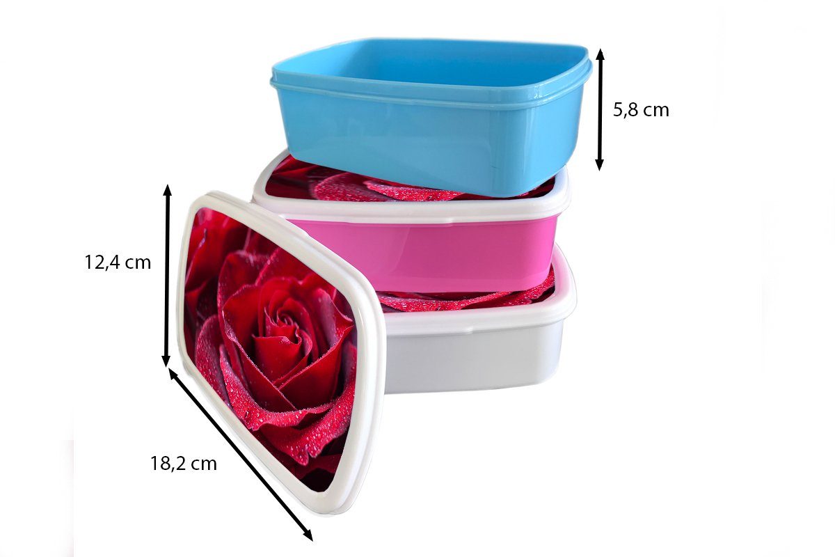 - Kunststoff, Kinder Erwachsene, Mädchen MuchoWow Brotbox Lunchbox Rose (2-tlg), Rot für für Jungs - und Brotdose, Tropfen, weiß und