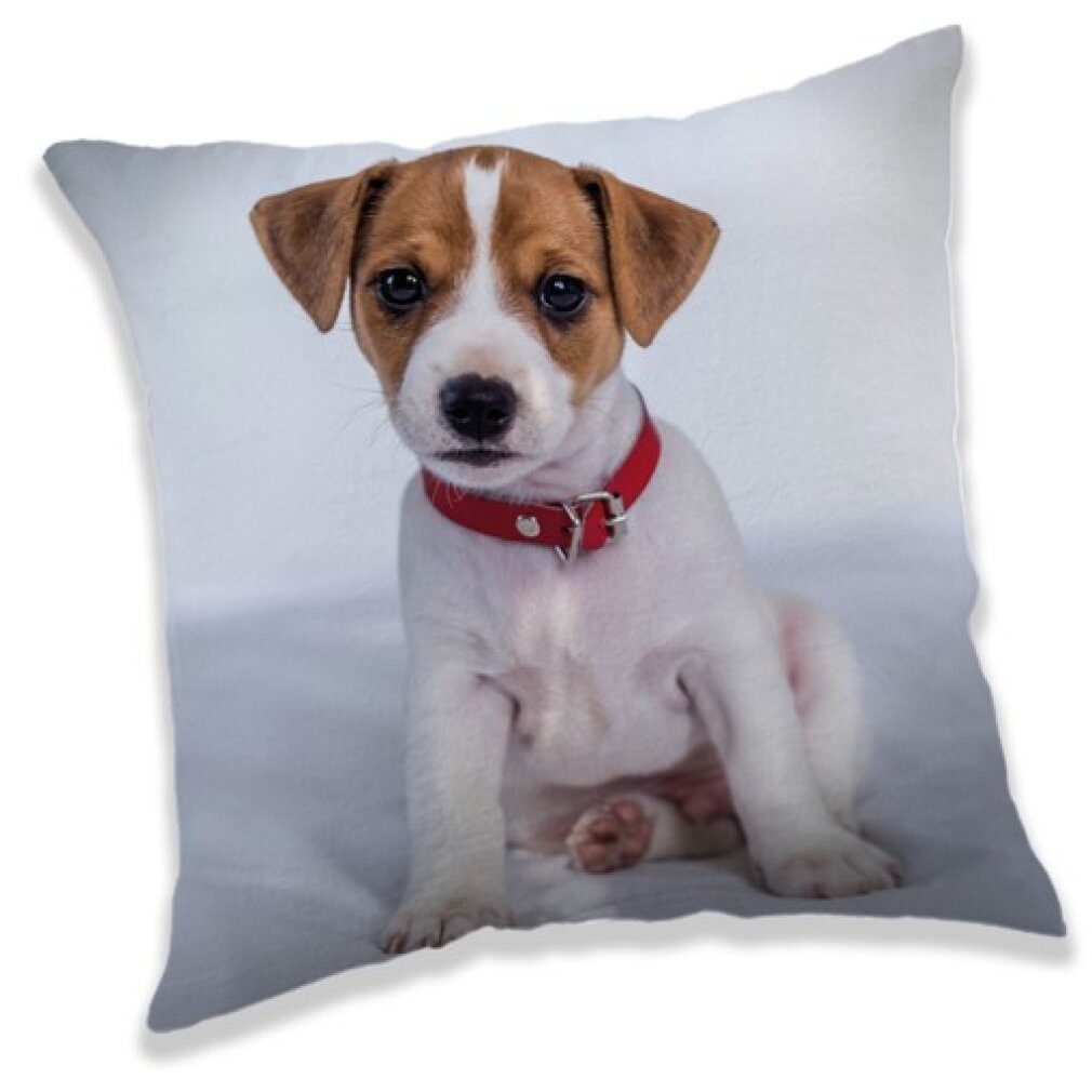 Javoli.com Dekokissen Hund Zierkissen 40X40 cm