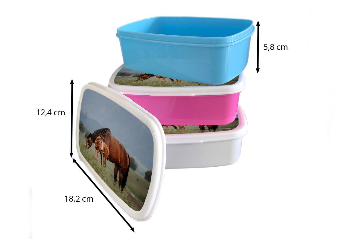 MuchoWow Lunchbox Pferde - Fohlen für und Erwachsene, (2-tlg), Jungs - Kunststoff, Natur, und Brotbox Kinder Brotdose, für weiß Mädchen