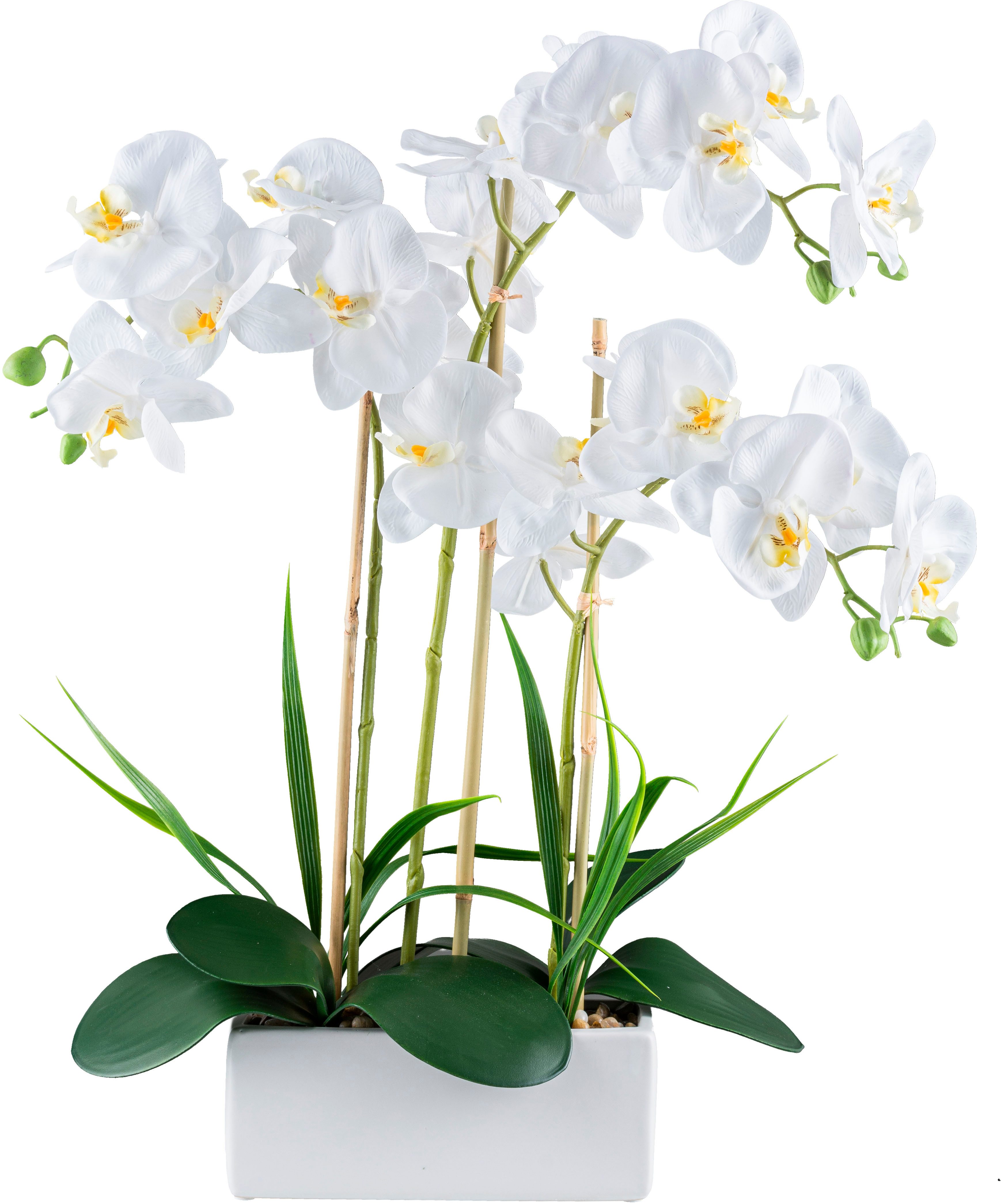 Kunstorchidee Orchidee Phalaenopsis, Creativ green, Höhe 58 cm, mit Graszwe günstig online kaufen