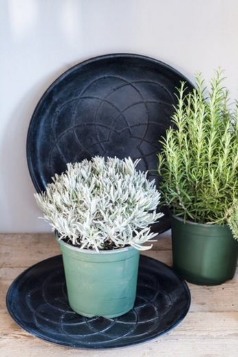 Cosy Home Ideas Dekoschale »Dekoschale rund schwarz Holz 39 cm« (1