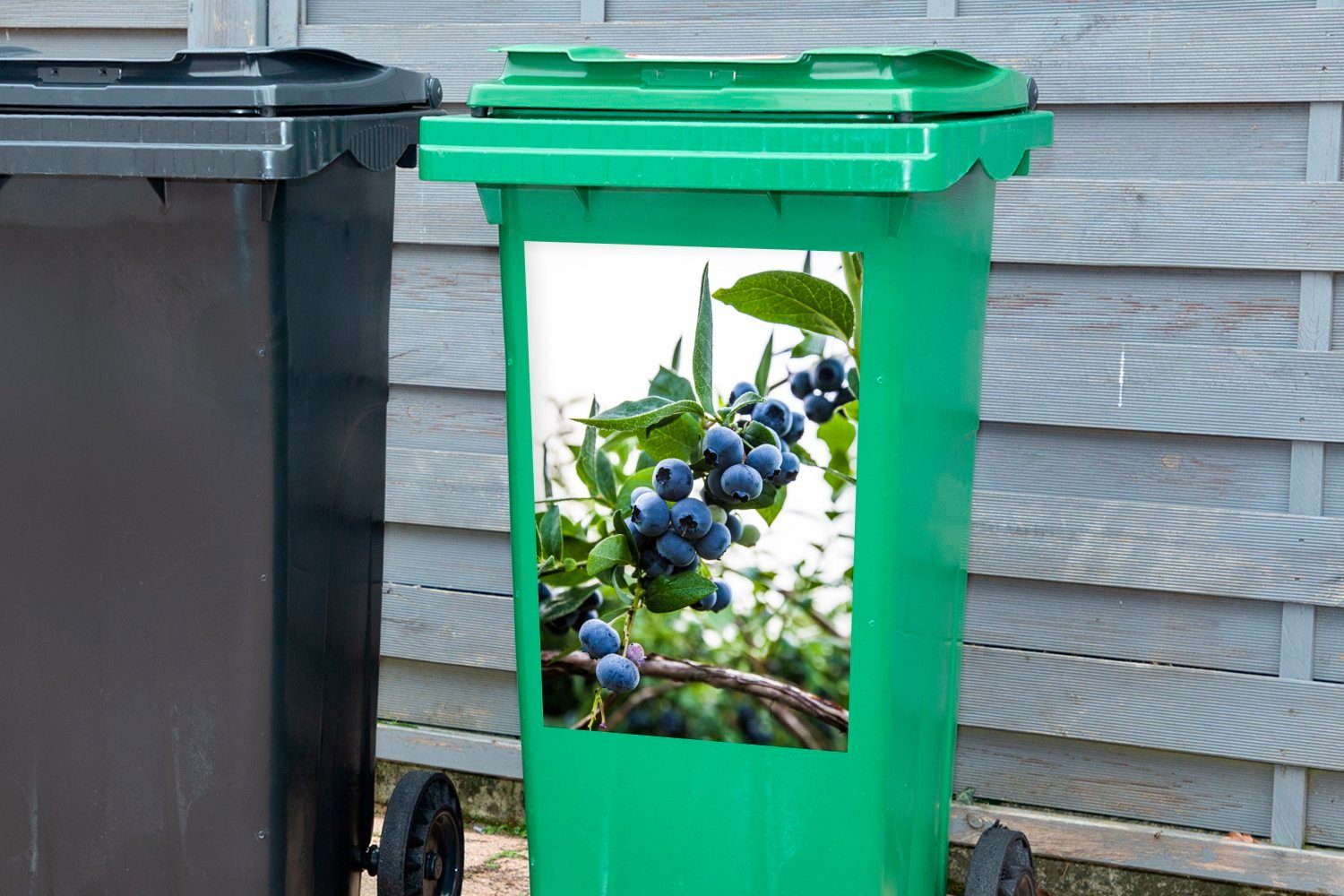 MuchoWow Wandsticker Frucht - (1 Blau - Mülleimer-aufkleber, Sticker, Abfalbehälter St), Container, Pflanze Mülltonne