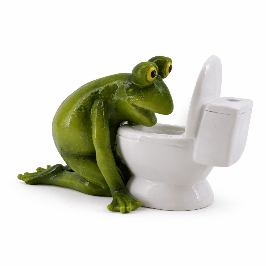 Figuren-Discounter Dekofigur Lustiger Frosch Dekofigur aus Polyresin – frech & dekorativ (13 cm) (1 St., Frosch über Toilette)