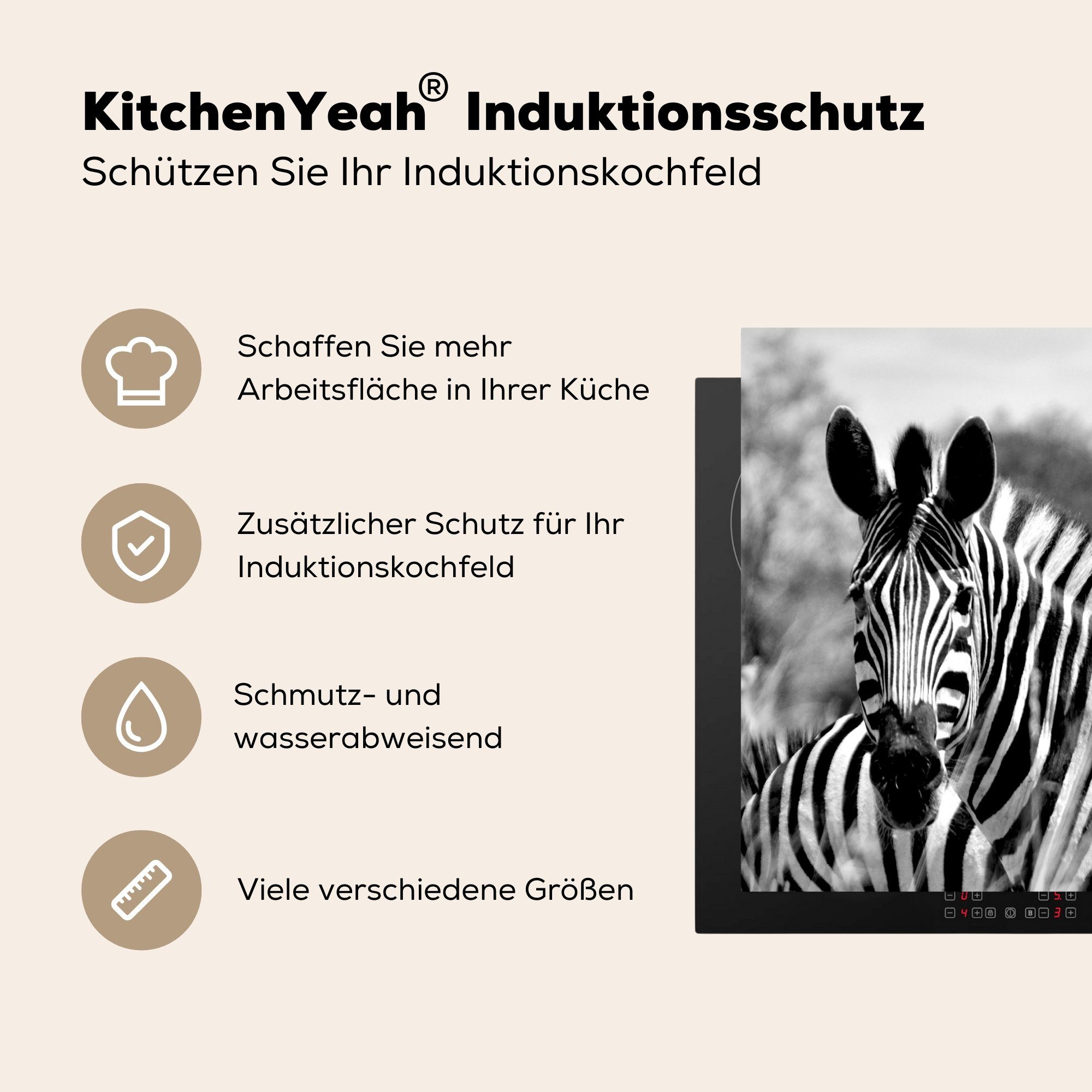 - - MuchoWow Küchen 58x51 Tiere, für Schwarz (1 Zebra - Weiß cm, Herdblende-/Abdeckplatte Dekoration tlg), Induktionsherd, Induktionskochfeld Vinyl,