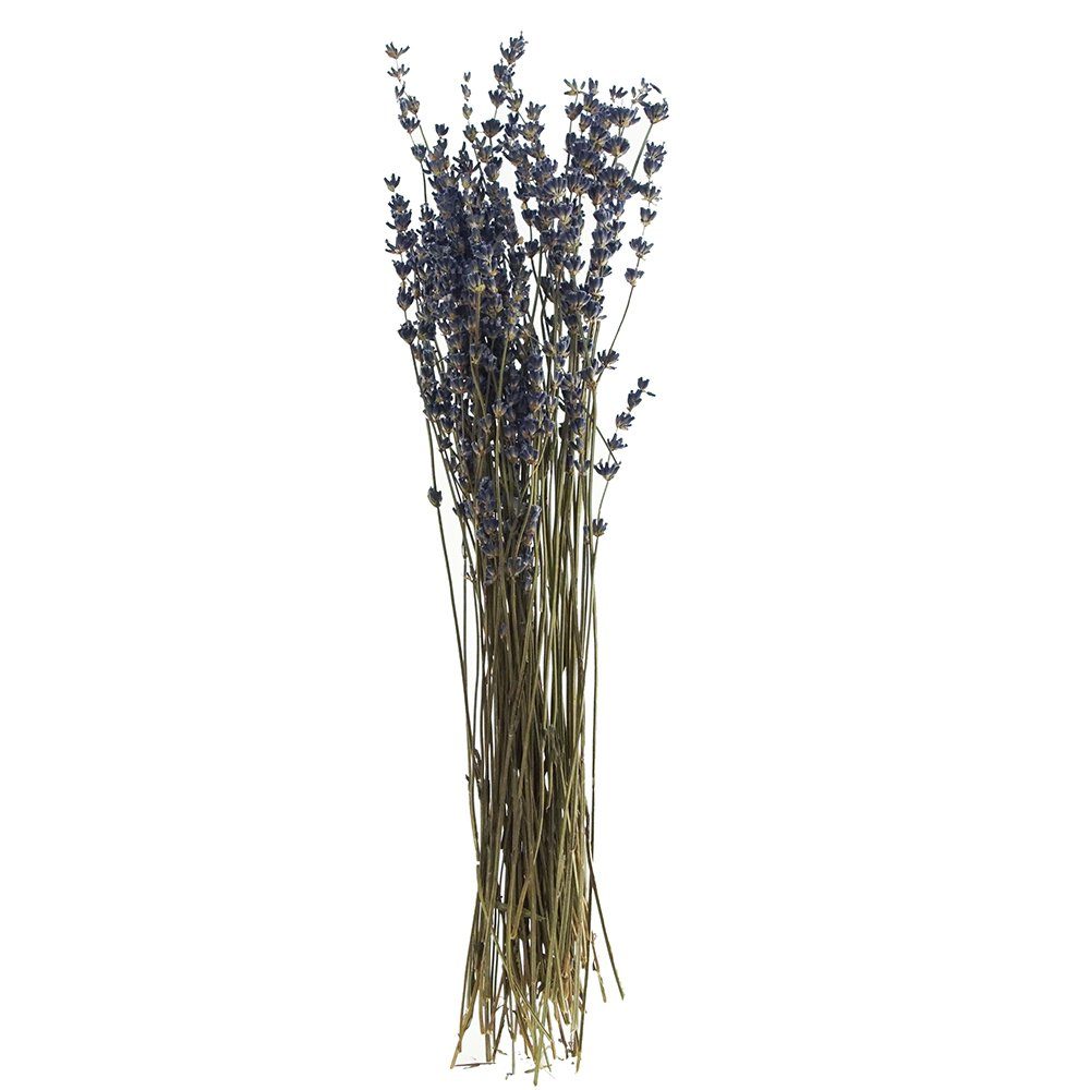 Kunstpflanze Lavendel, VBS, 30 cm lang
