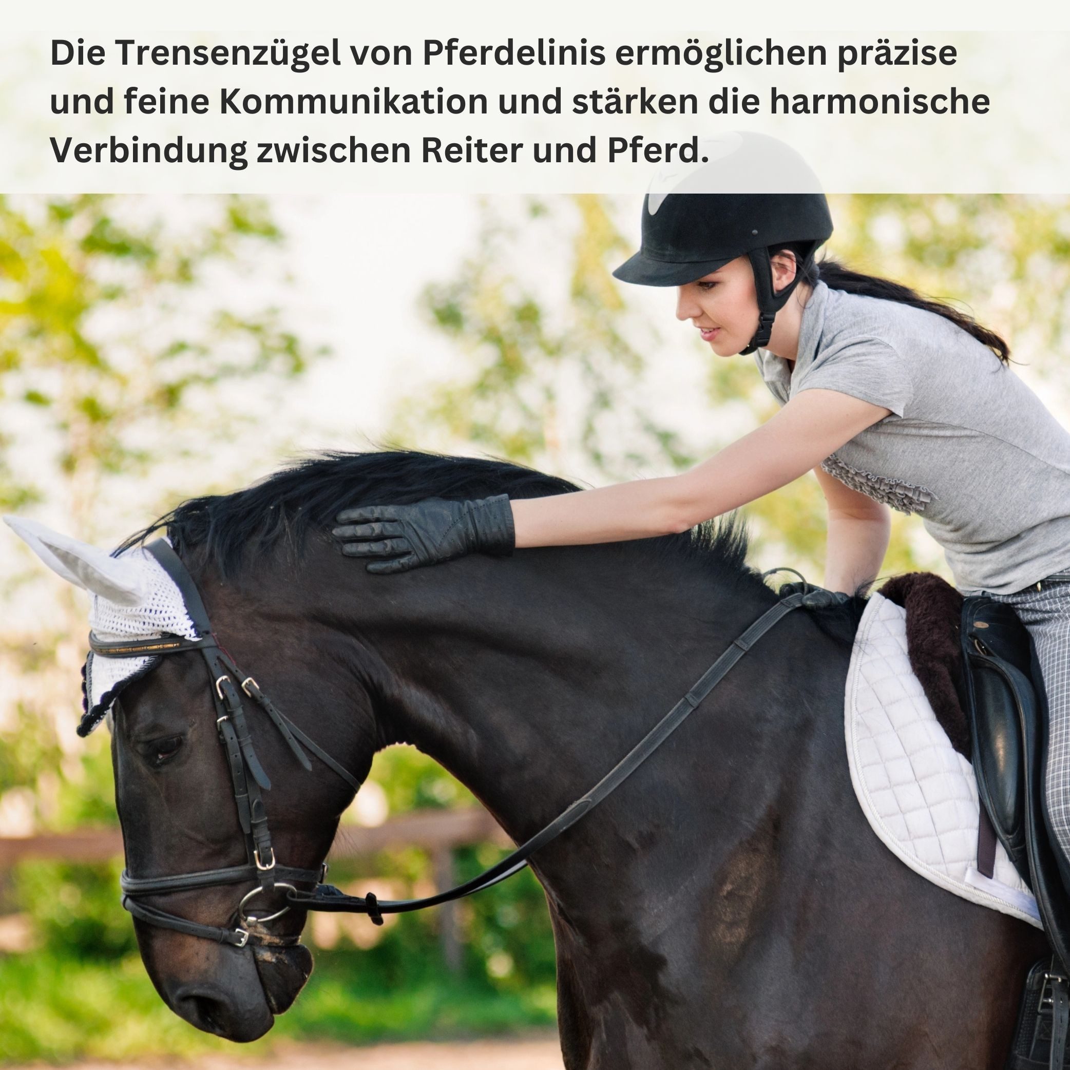 Pferdelinis Zügel Trensen Zügel für Pferde, gummiert, Schwarz oder Braun, Länge 2,9m, Breite: 18mm, Länge: 2,90m