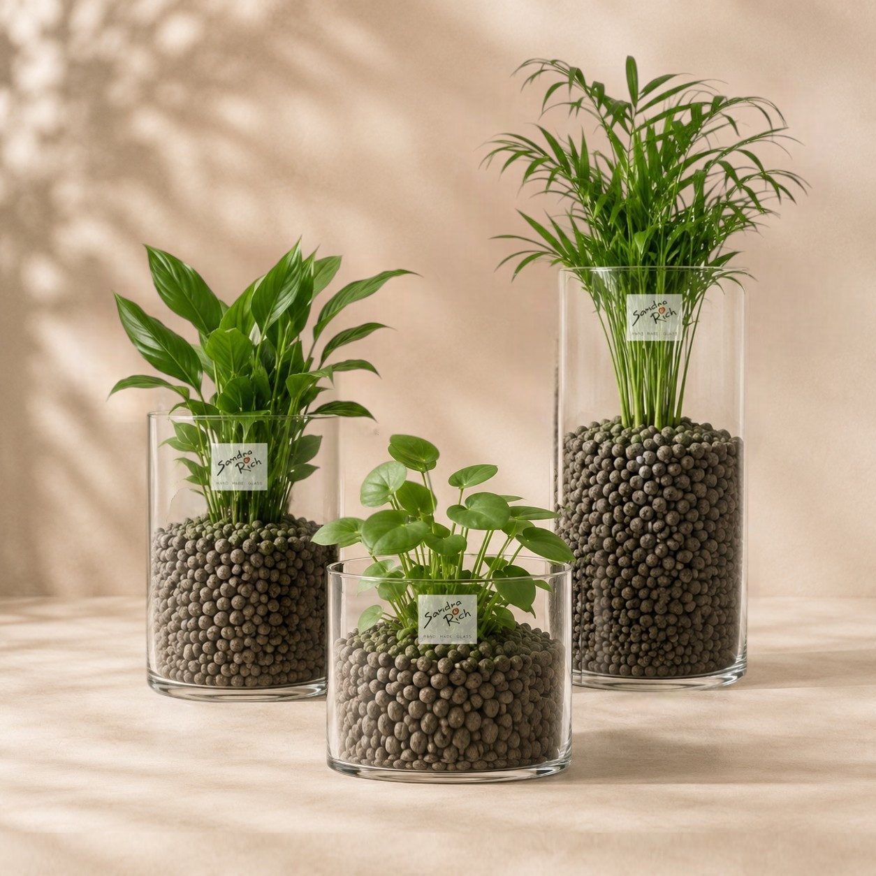 Sandra Rich Dekovase Glasvase "Cyli CC" 6er Set 10 x 15cm – Zylindrische Blumenvase 6 Stück