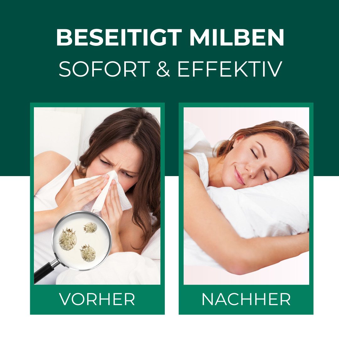Silberkraft Insektenspray Silberkraft Milbenspray Sofa, Anti-Milben-Schutz günstig online kaufen
