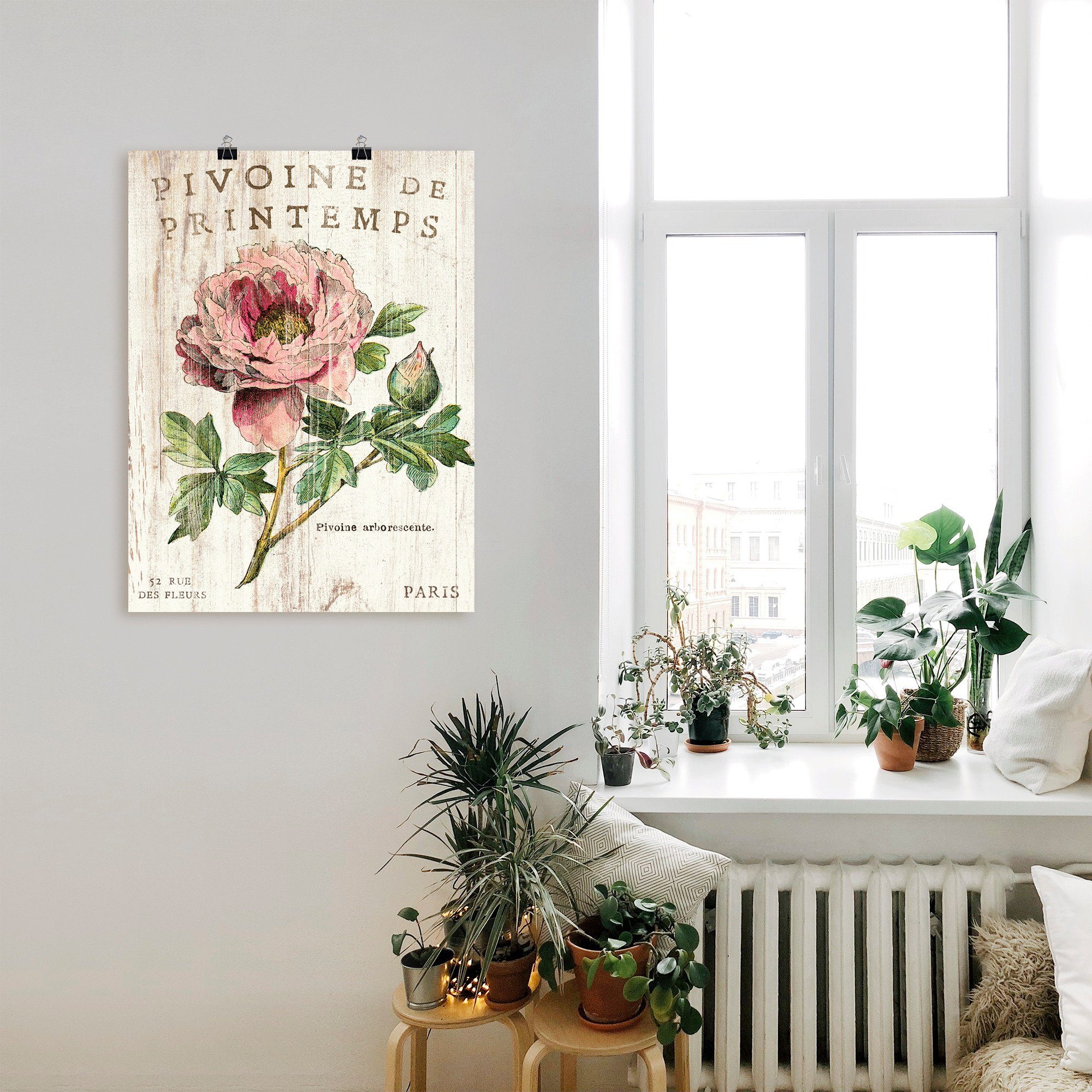 Artland Poster Pfingstrose, Blumen (1 St), ohne Rahmen