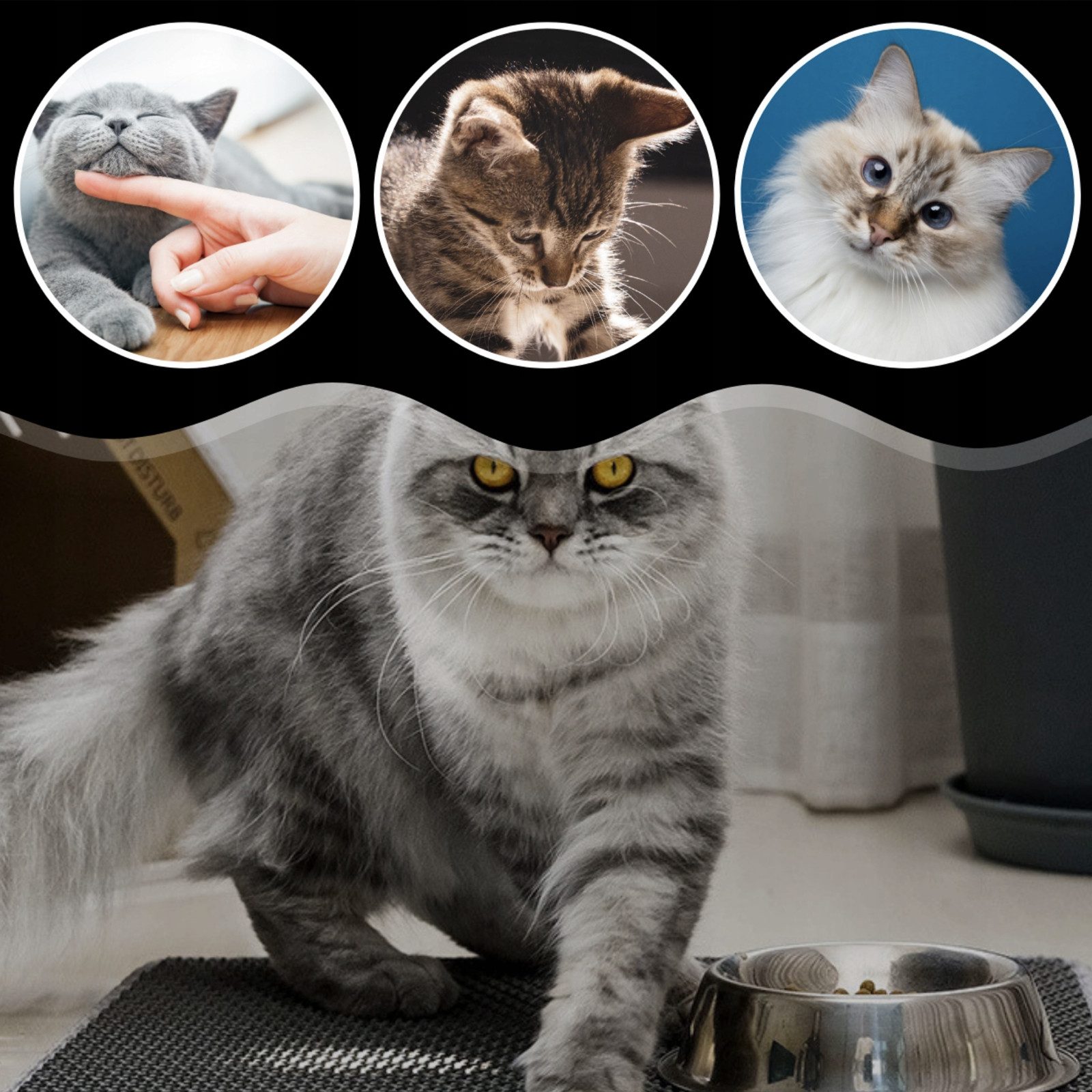 OKWISH Katzentoilette Katzenstreu Matte Doppelte Katzenklomatte Bienenwabe günstig online kaufen