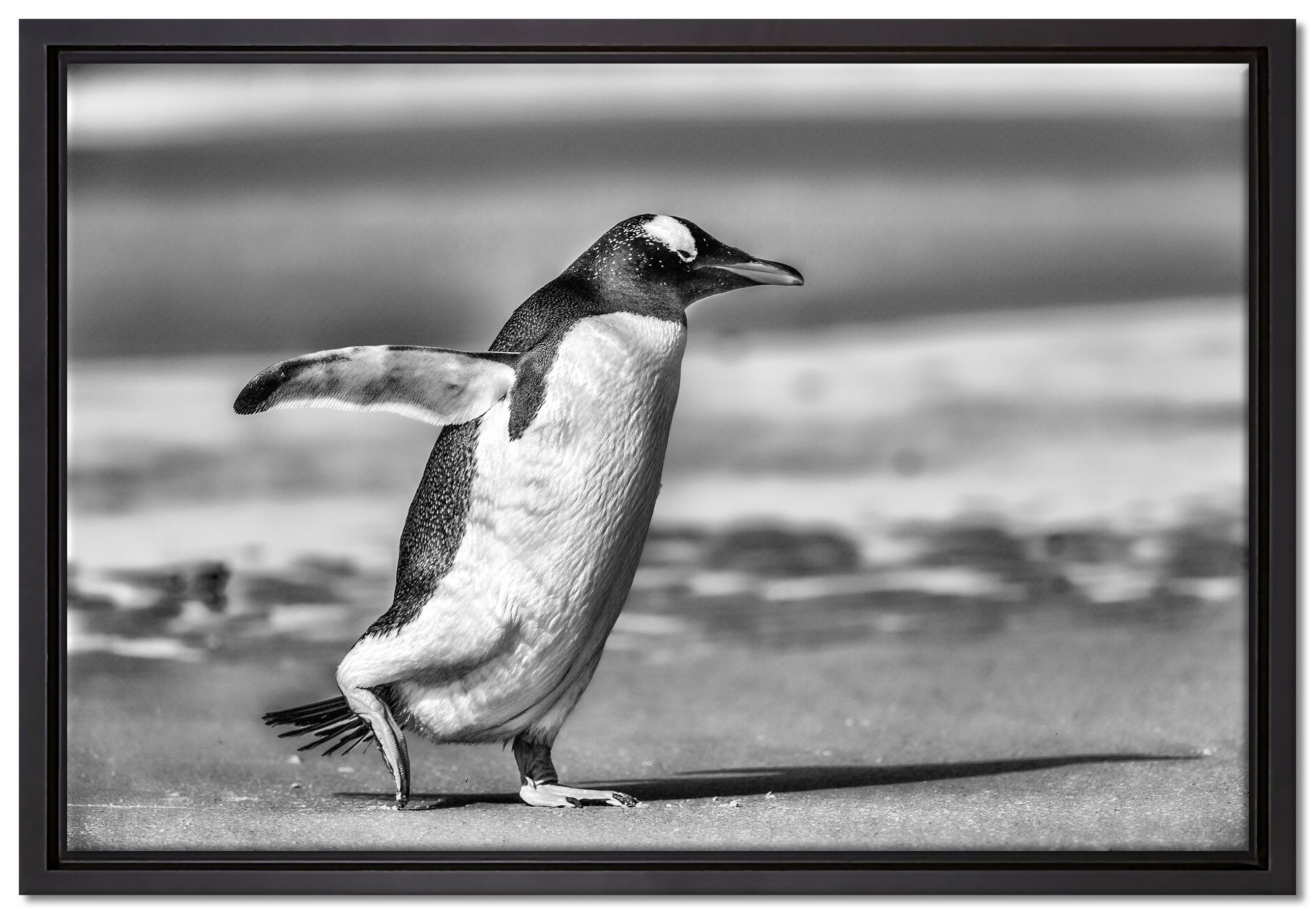Pixxprint Leinwandbild Pinguin am Strand, Wanddekoration (1 St), Leinwandbild fertig bespannt, in einem Schattenfugen-Bilderrahmen gefasst, inkl. Zackenaufhänger