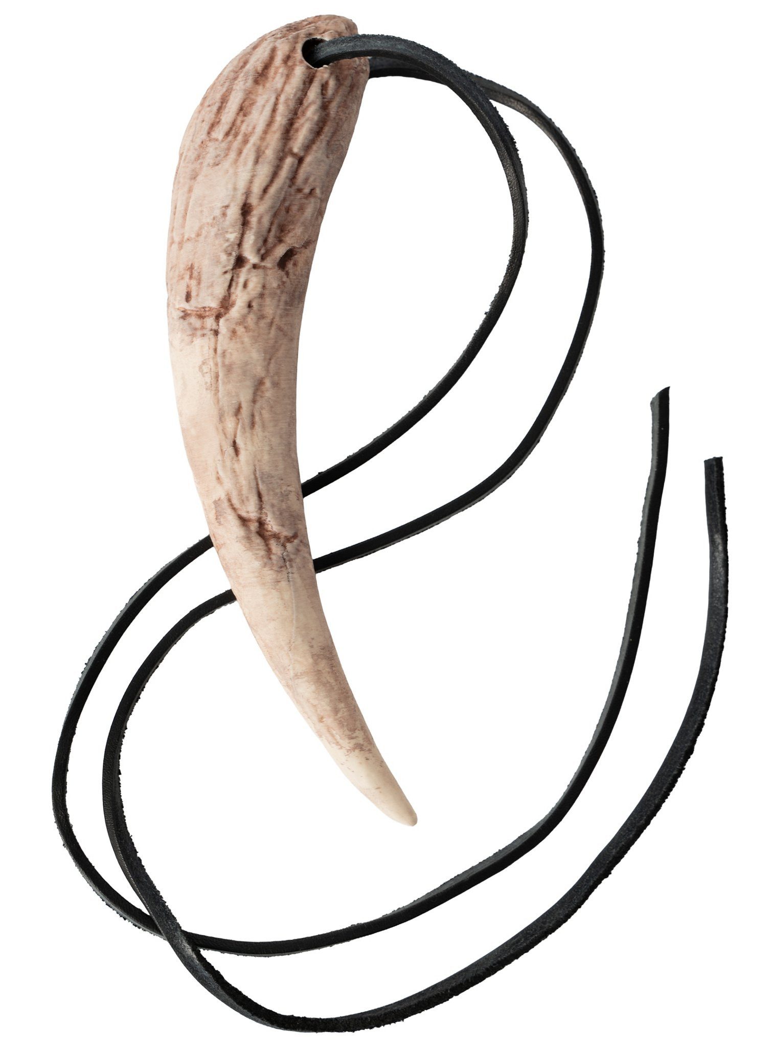 Dekoobjekt Drachenzahn Trophäe (18 cm) mit Lederriemen