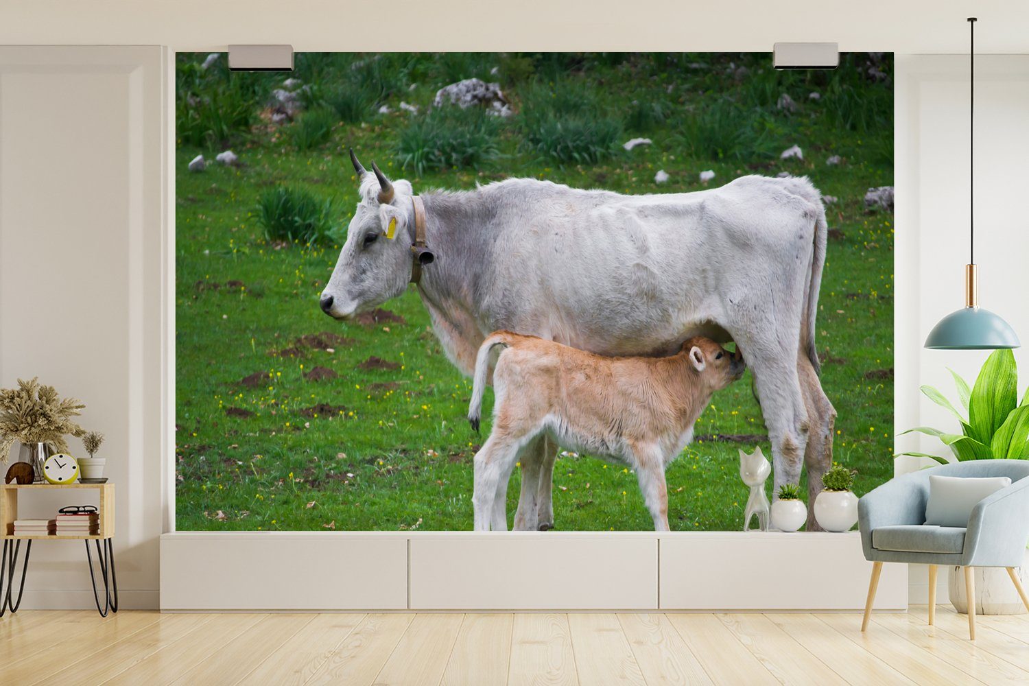 Wohnzimmer, Schlafzimmer, Tapete Kinderzimmer, Vinyl MuchoWow Matt, Natur, (6 St), - für Tiere - Wallpaper Kühe Fototapete bedruckt,