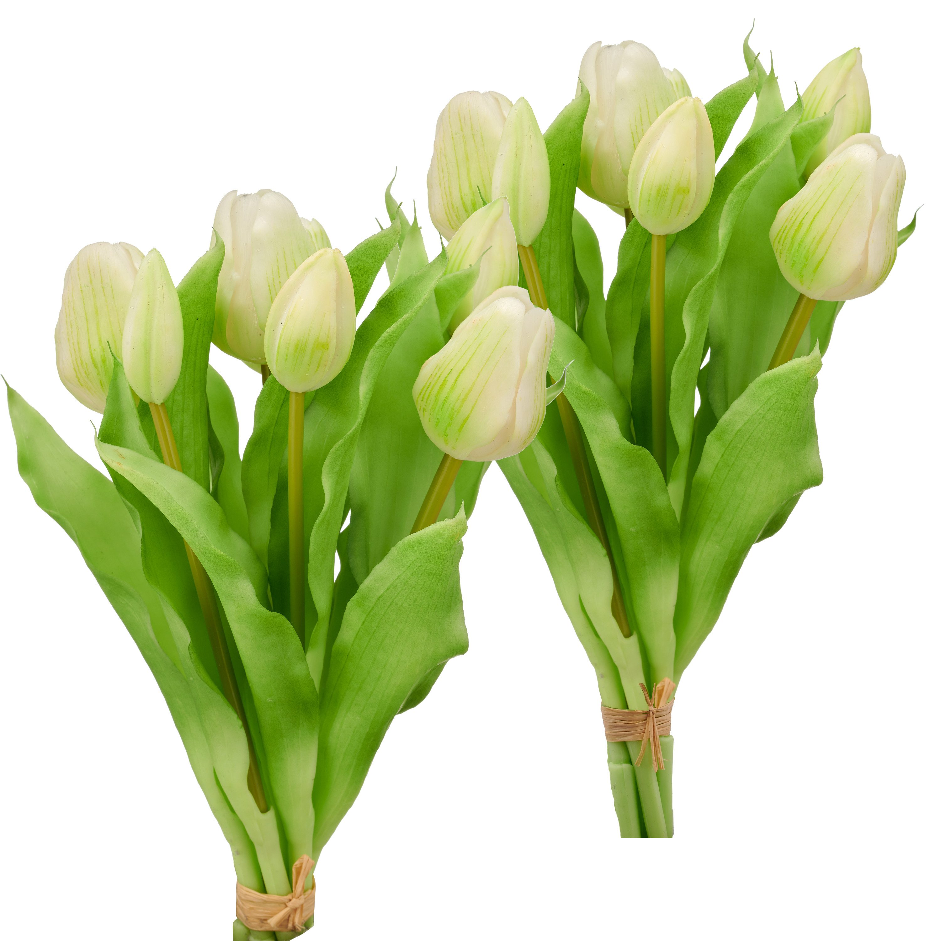 Kunsttulpe Tulpenbund, Creativ green, Höhe 31 cm, in schöner Farbe