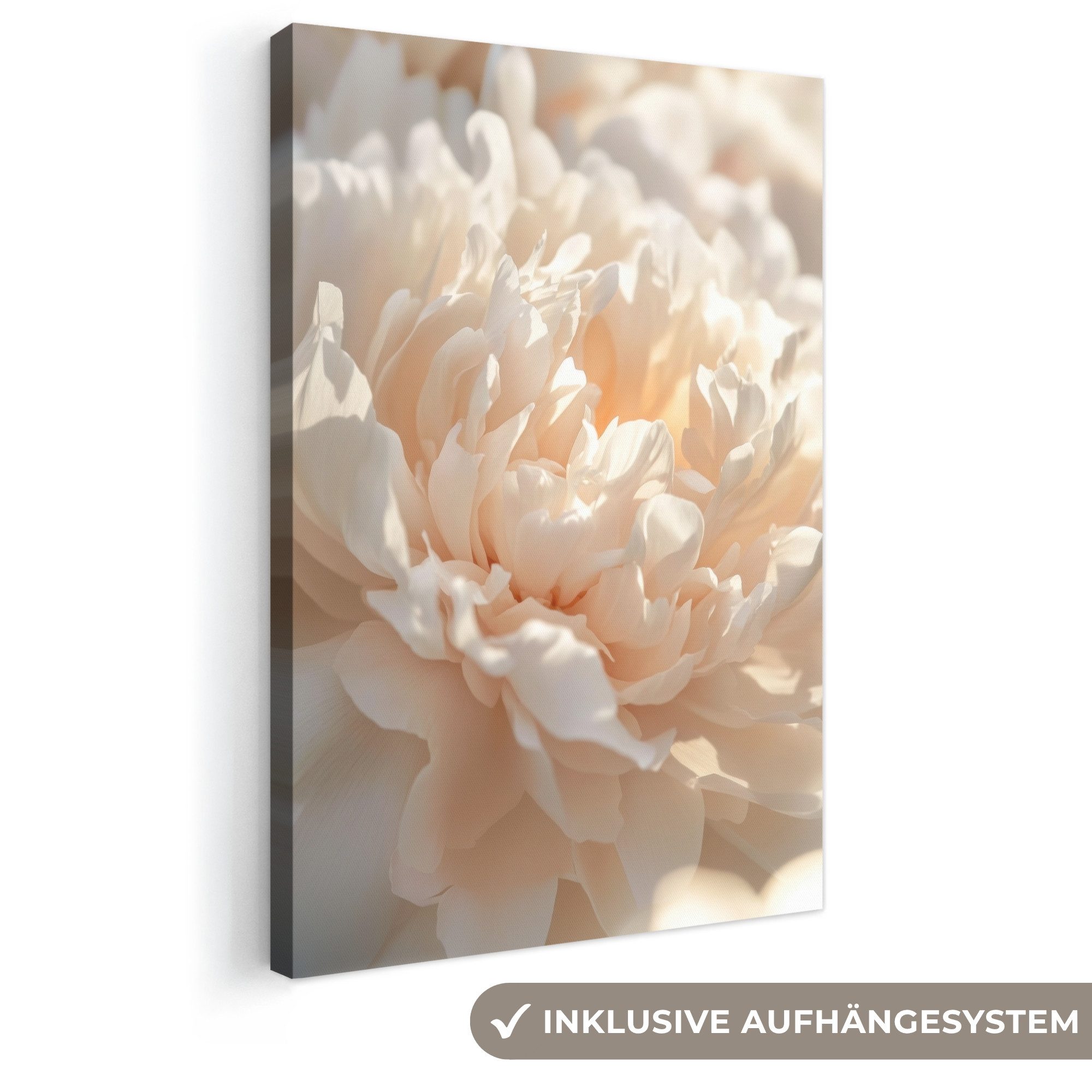 OneMillionCanvasses® Leinwandbild Nahaufnahme - Pfingstrose - Hellrosa, Fotodruck (1 St), Leinwand Canvas Wandbild, Wanddekoration 20x30 cm