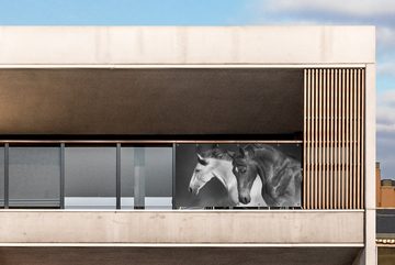 MuchoWow Balkonsichtschutz Pferde - Tiere - Schwarz - Weiß - Porträt (1-St) Balkonbanner, Sichtschutz für den Balkon, Robustes und wetterfest