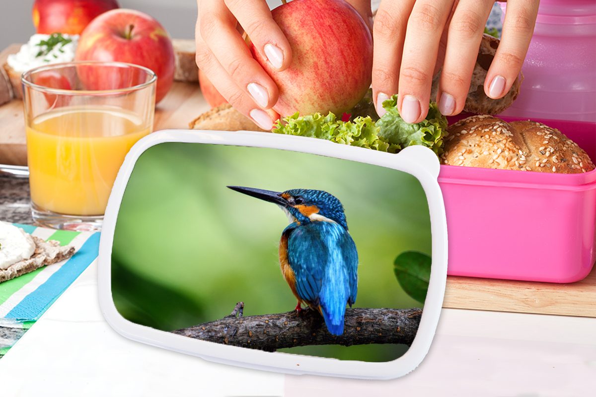 - Kinder, Brotdose Zweig Snackbox, rosa Kunststoff Blau, Lunchbox - (2-tlg), für Eisvogel Erwachsene, Mädchen, MuchoWow Brotbox Kunststoff,