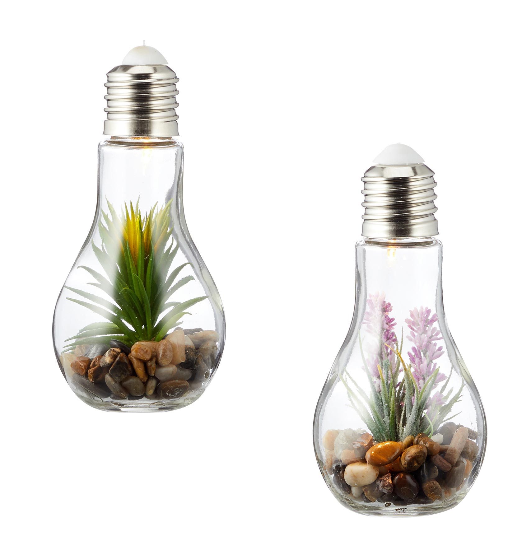 Levandeo® LED Dekoobjekt, 2er Set Sukkulenten Glühbirne Glas je B x H 8 x 19cm Deko LED Lampe