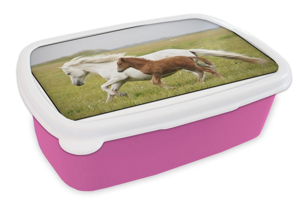 MuchoWow Lunchbox Pferde - Tiere - Gras, Kunststoff, (2-tlg), Brotbox für Erwachsene, Brotdose Kinder, Snackbox, Mädchen, Kunststoff rosa