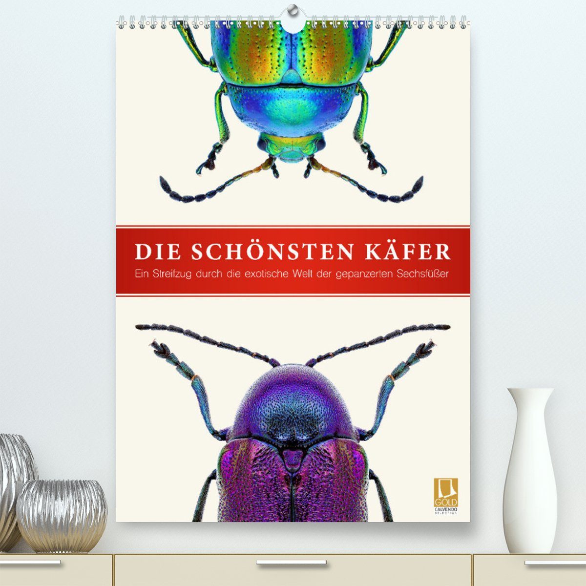 CALVENDO Wandkalender Die schönsten Käfer (Premium, hochwertiger DIN A2 Wandkalender 2023, Kunstdruck in Hochglanz)